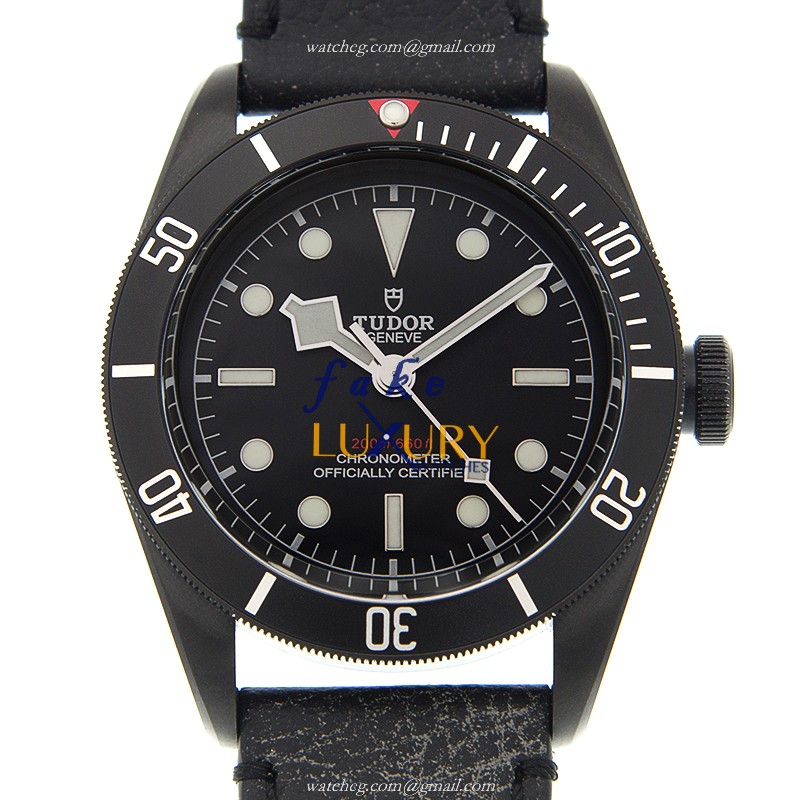 Tudor 79230DK-LS https://www.fakeluxurywatches.com/watchesppic/79230DK-LS.jpg
