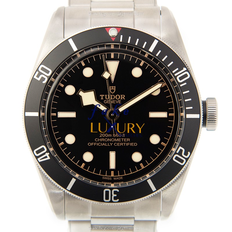 Tudor 79230N https://www.fakeluxurywatches.com/watchesppic/79230N.jpg