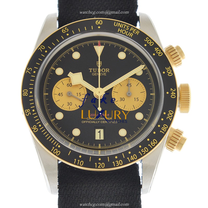 Tudor 79363N-CS https://www.fakeluxurywatches.com/watchesppic/79363N-CS.jpg